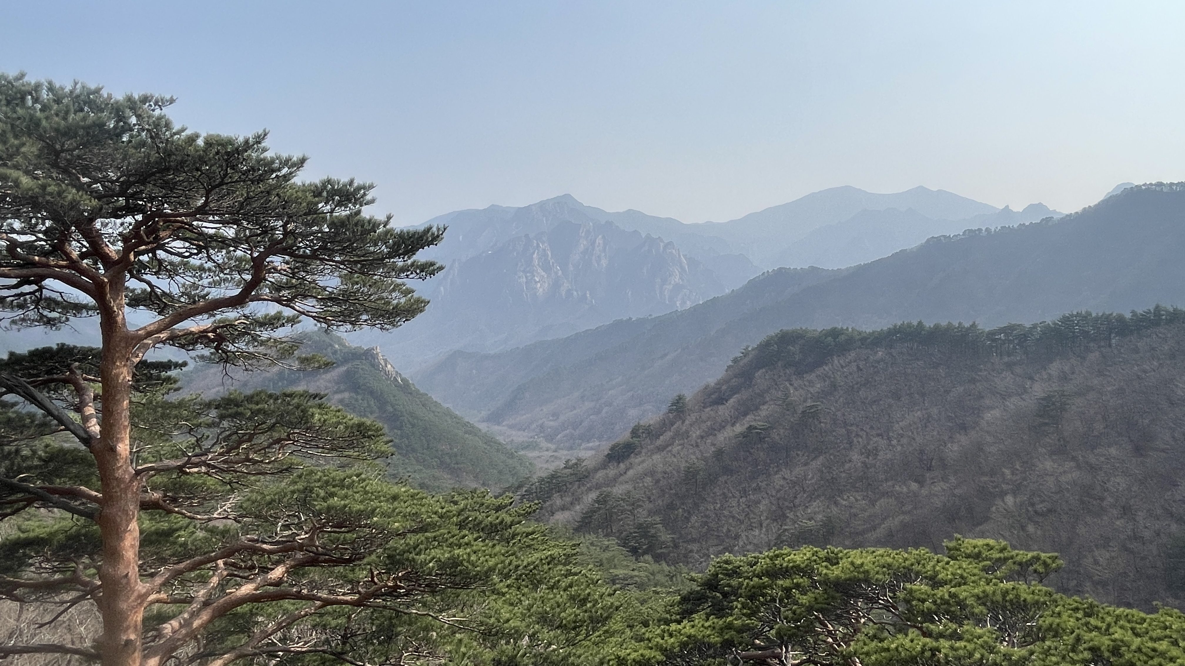 Vue sur les montagnes et la forêt dans le parc de Seoraksan.