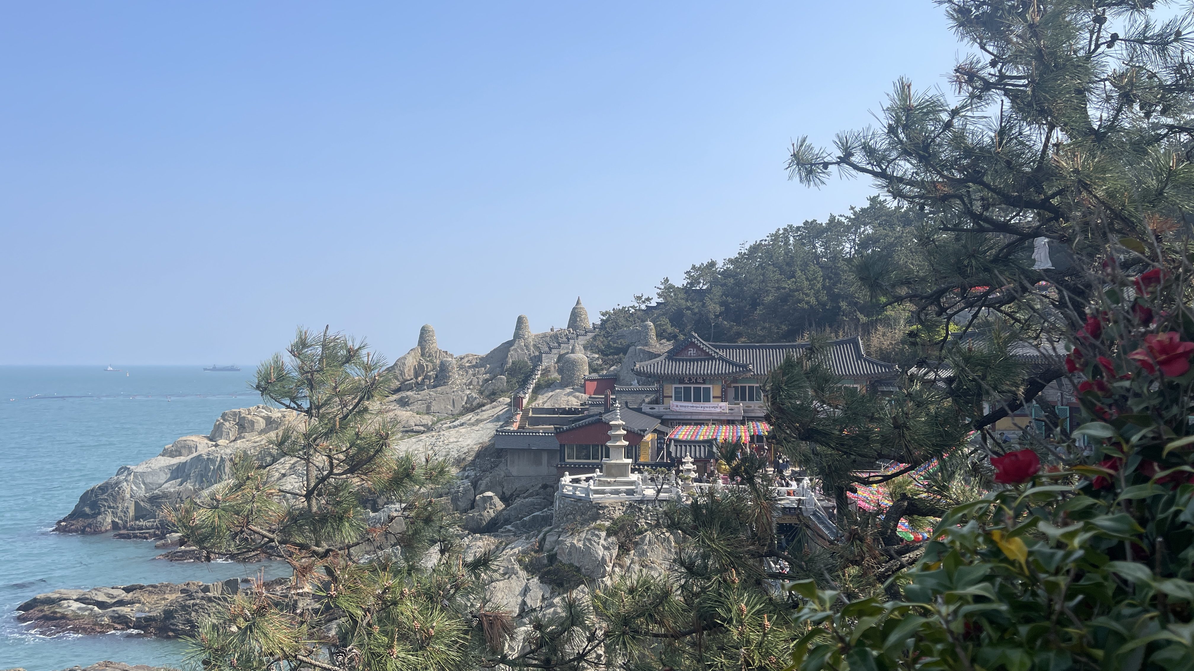 Énormément de temps sur une montagne, à flanc de mer. Plusieurs arbres et fleurs sont aussi présents.