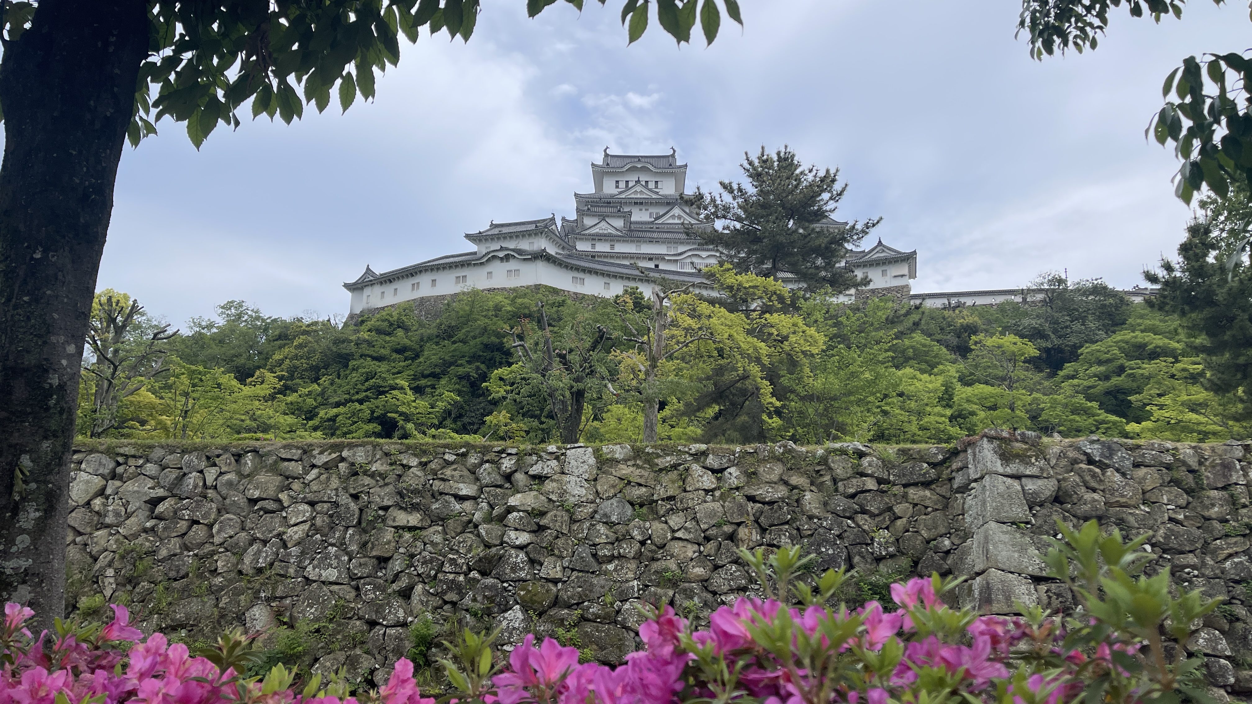 Le chateau d'Himeji vue du parc
